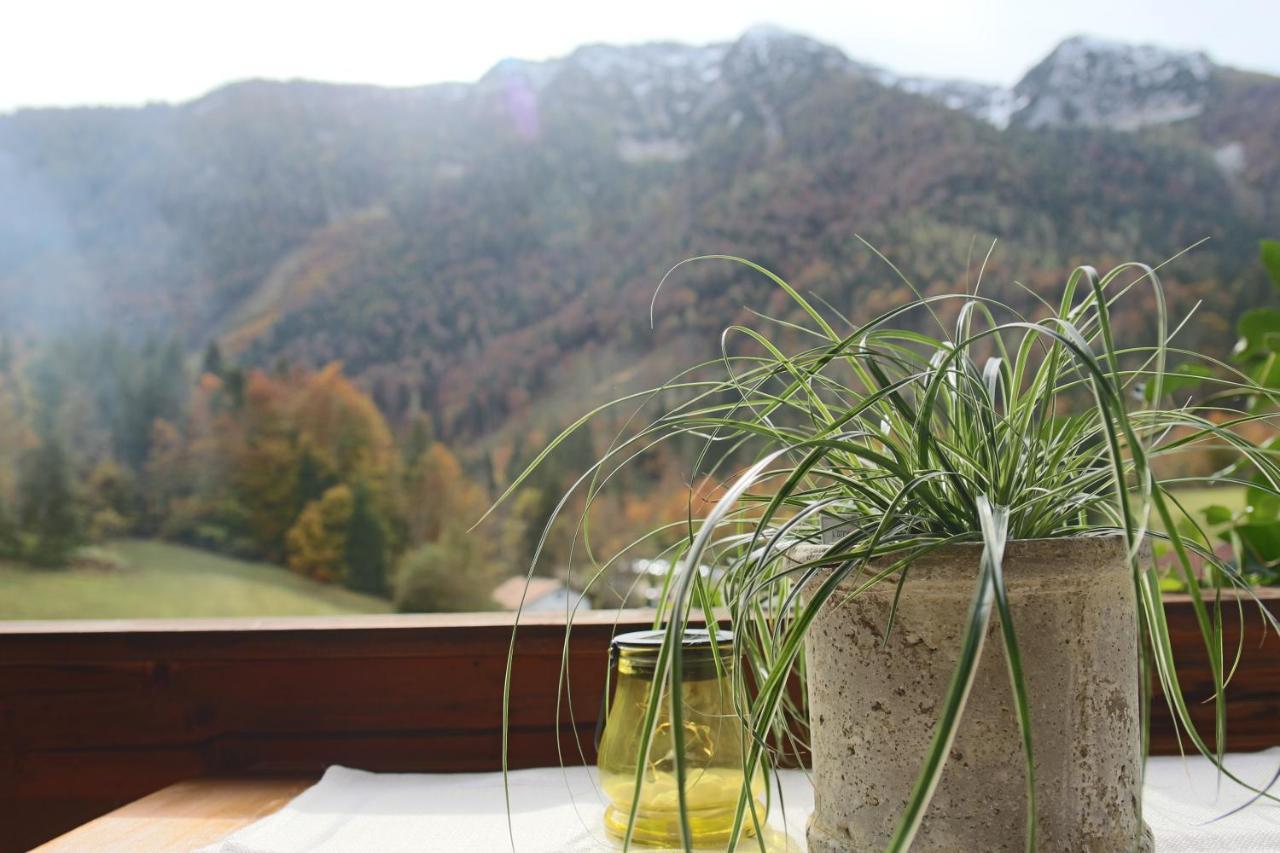 Apartmán Kienberghof Inzell Exteriér fotografie